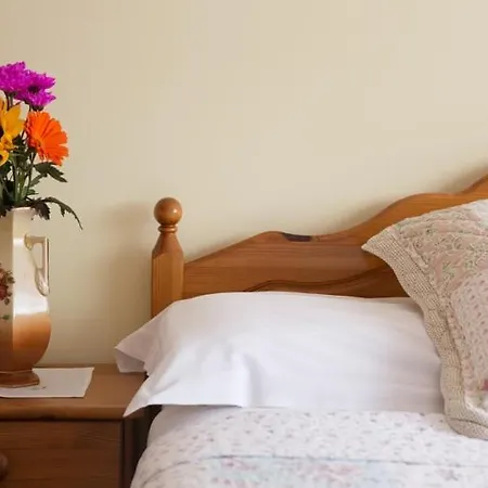 Shannon Breeze Self - Catering Πανσιόν Labbidhg