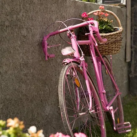 Shannon Breeze Self - Catering *
